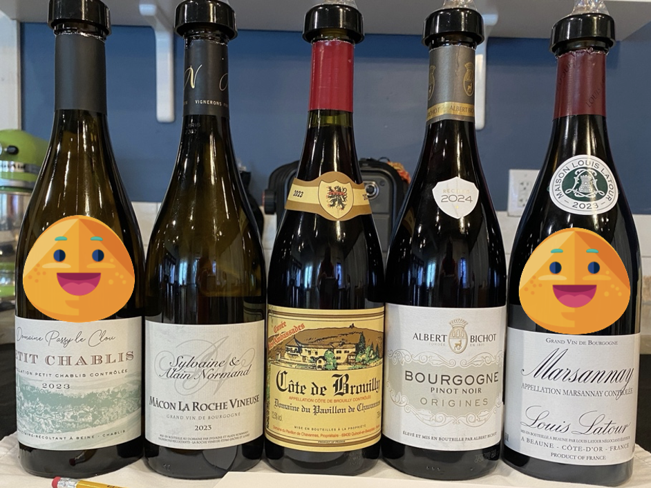 wine photo from "The WInes of Burgundy" class