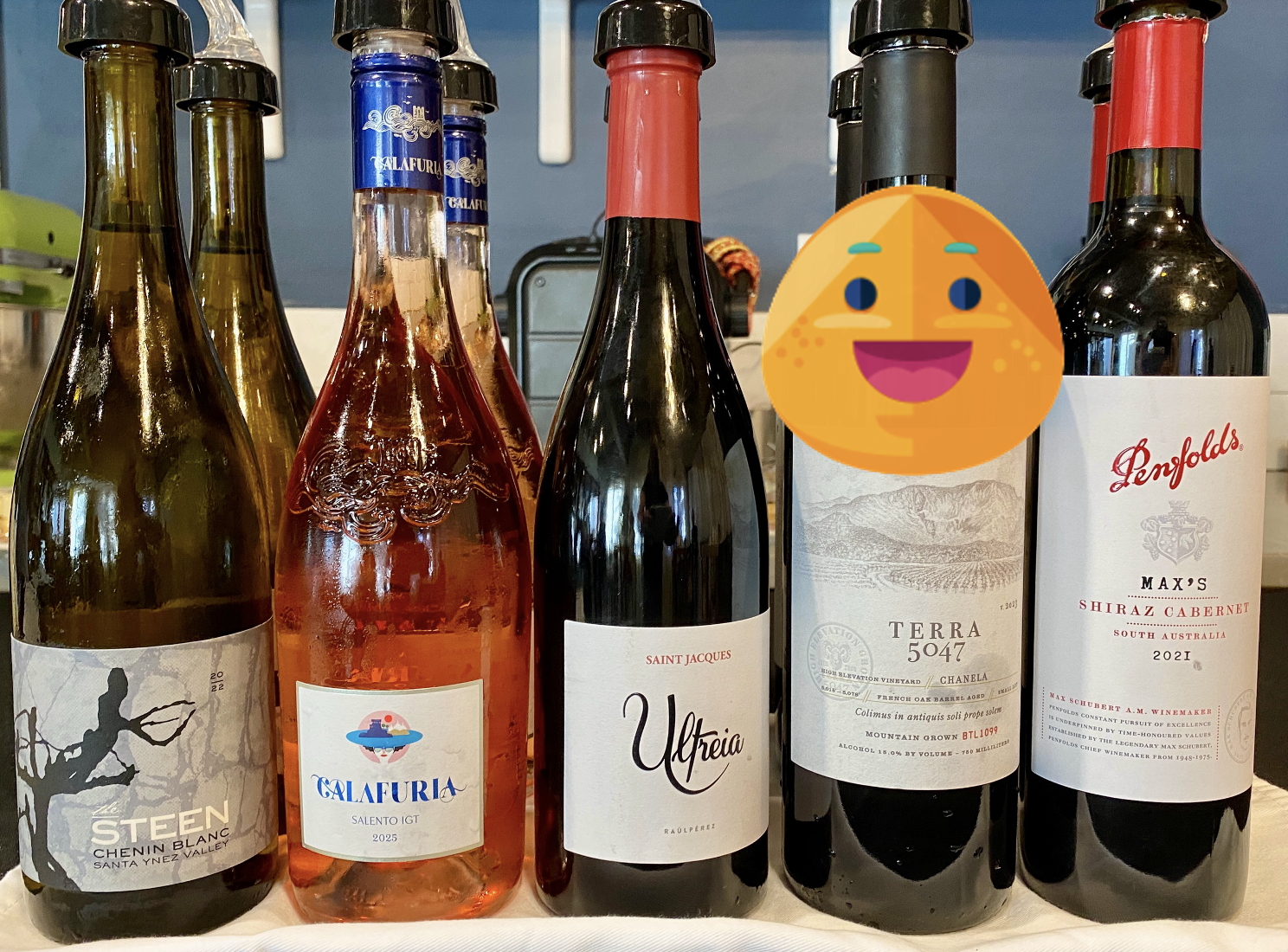 photos of wine bottles from "Hidden Gems - Wine selection by a top sommelier and wine judge"